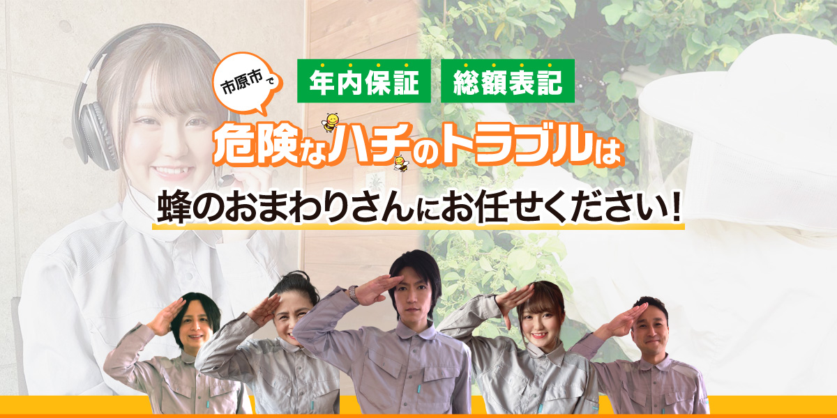 危険なハチのトラブルは蜂のおわまりさんにお任せください！