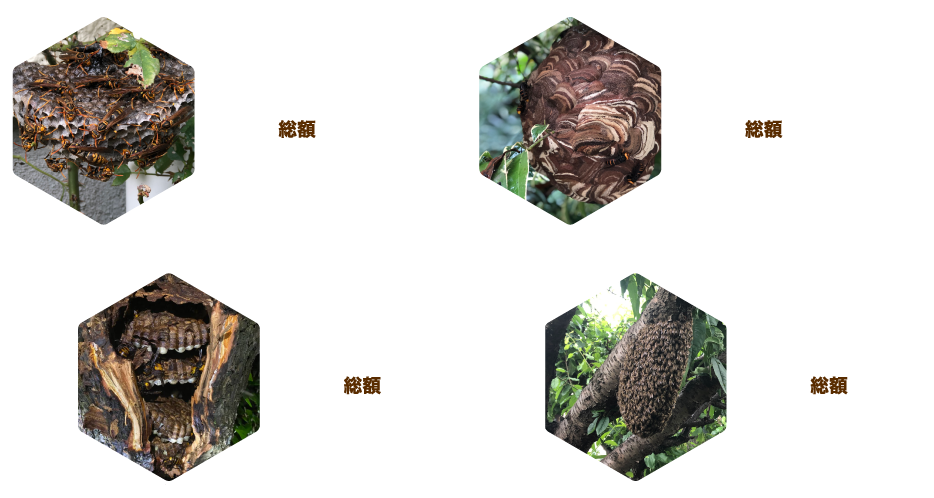金額