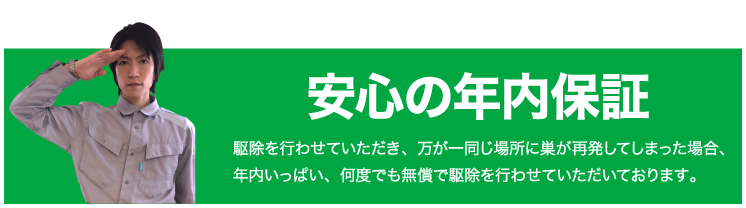 安心の年内保証