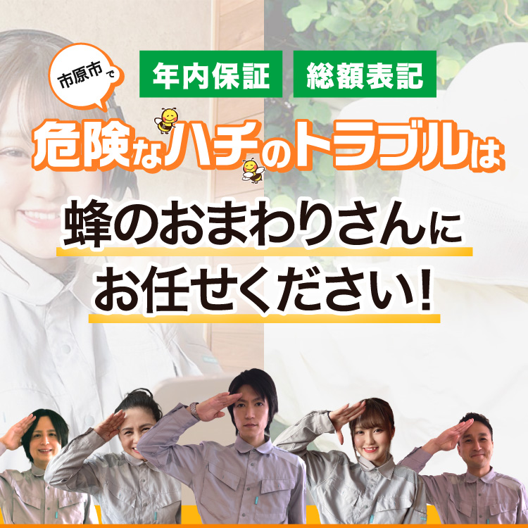 危険なハチのトラブルは蜂のおわまりさんにお任せください！