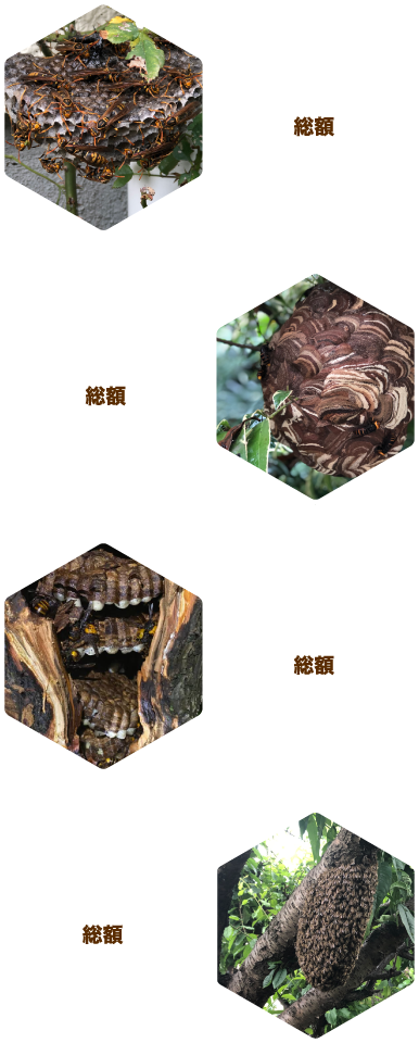 金額