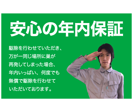 安心の年内保証